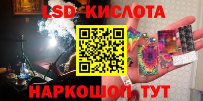 спиды Камышлов