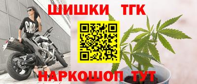 спиды Камышлов