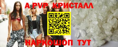спиды Камышлов