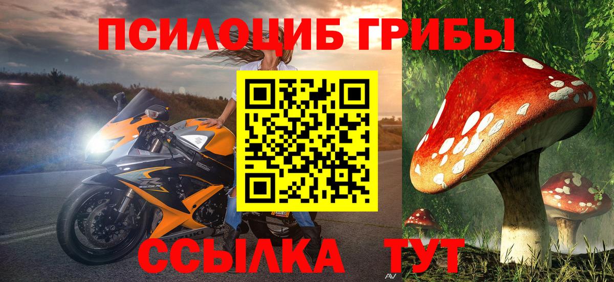 Псилоцибиновые грибы Cubensis  Вход с VPN  Курчалой  Псилоцибиновые грибы прущие грибы 